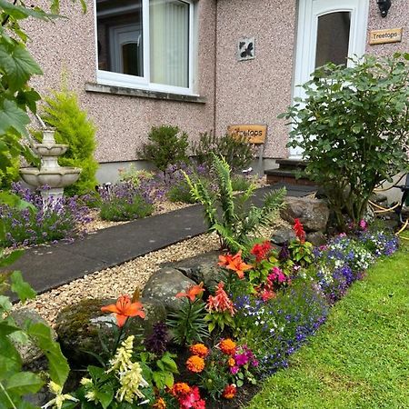 Treetops Bungalow Loch Ness Drumnadrochit Bagian luar foto