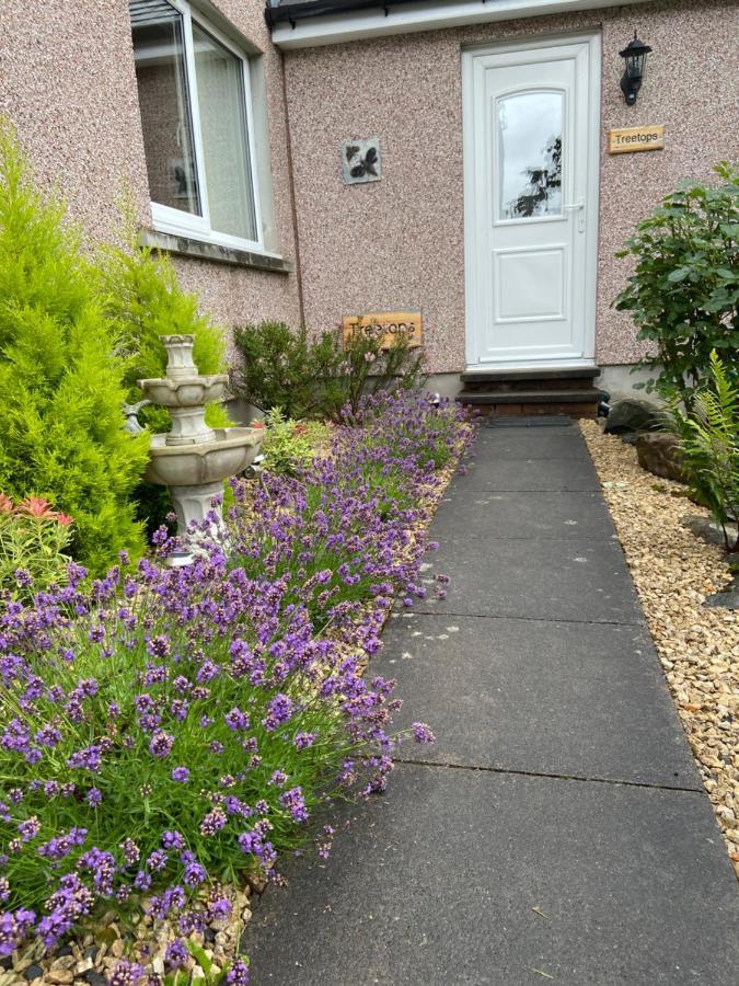 Treetops Bungalow Loch Ness Drumnadrochit Bagian luar foto