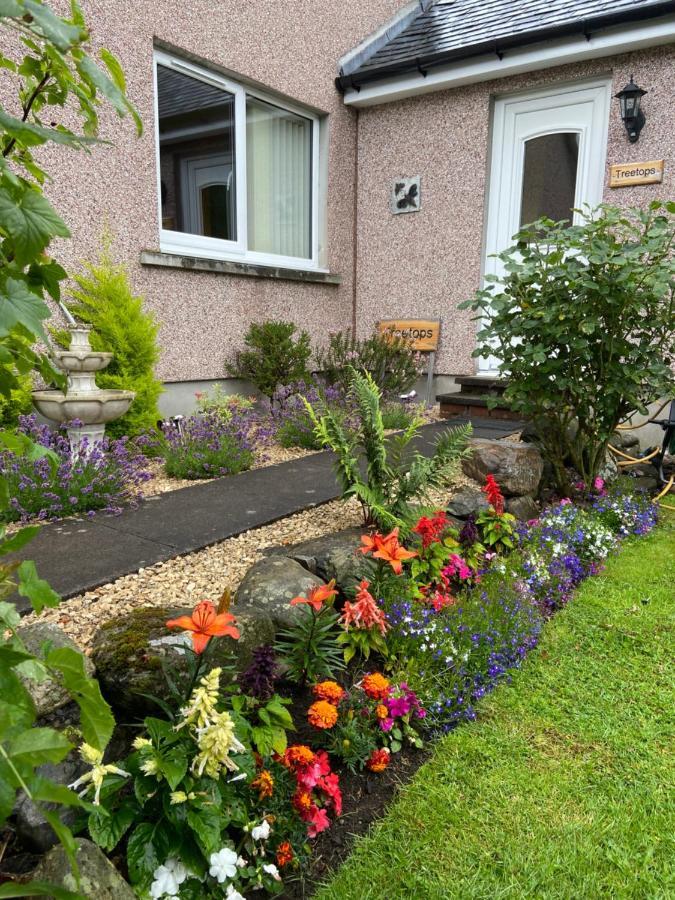 Treetops Bungalow Loch Ness Drumnadrochit Bagian luar foto