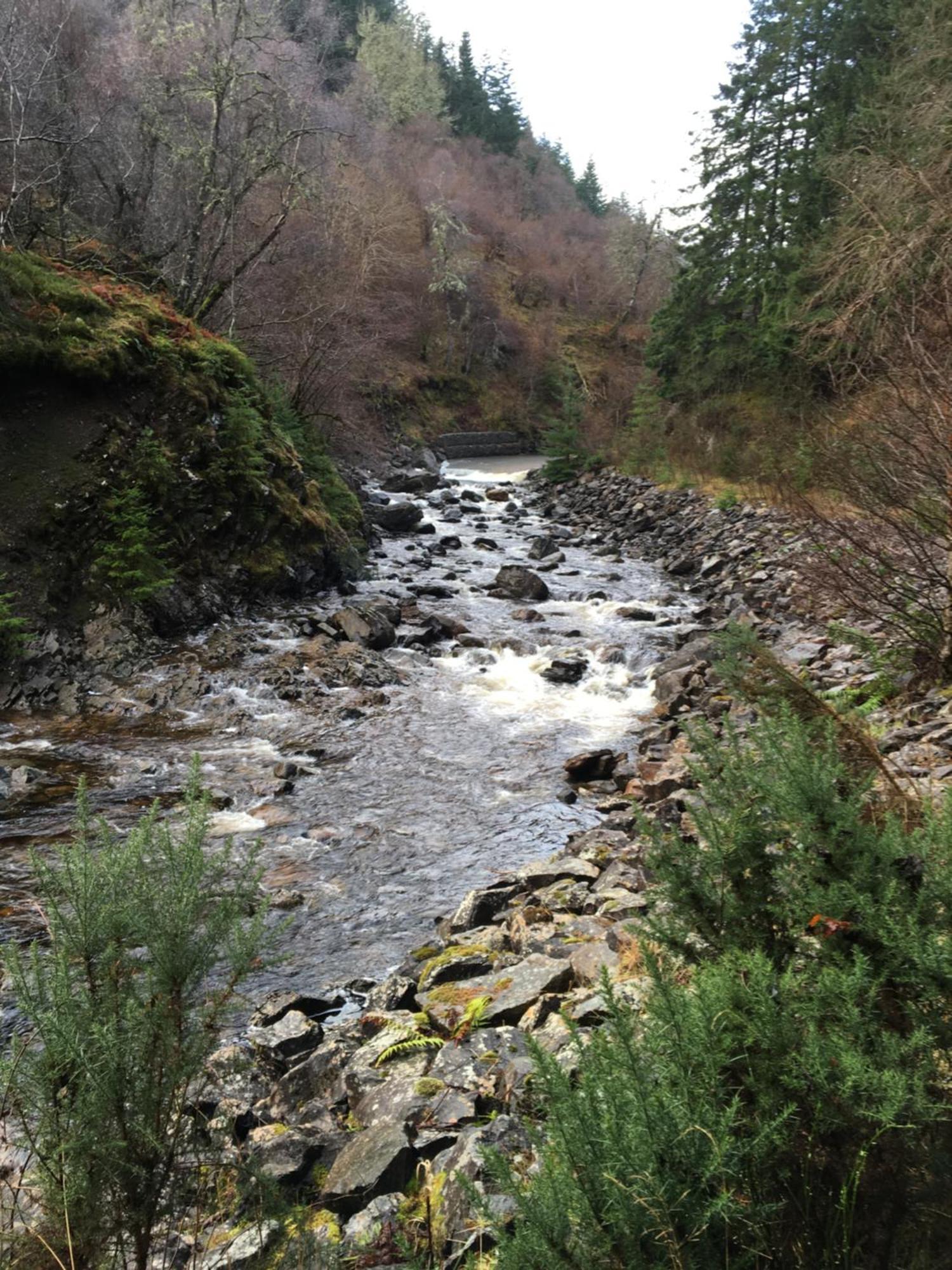 Treetops Bungalow Loch Ness Drumnadrochit Bagian luar foto
